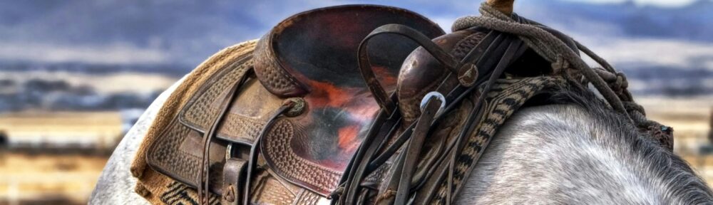 Detailed view of a traditional saddle on a gray horse in a rural outdoor setting.